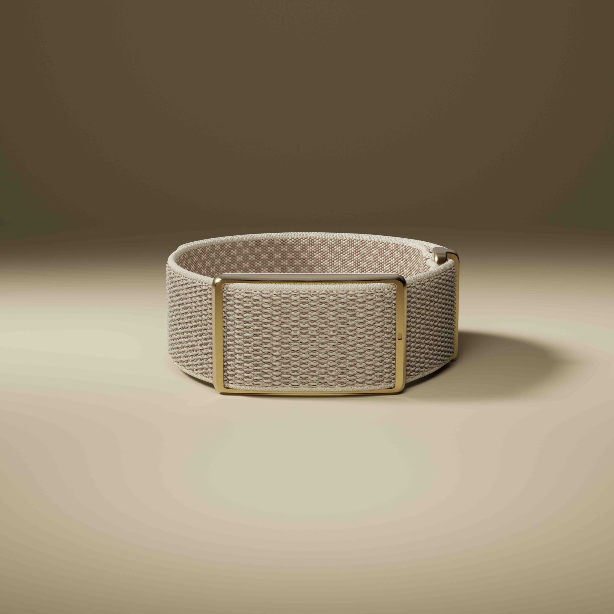 Review: Polar Loop